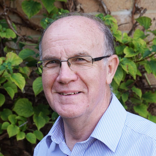 David McLellan