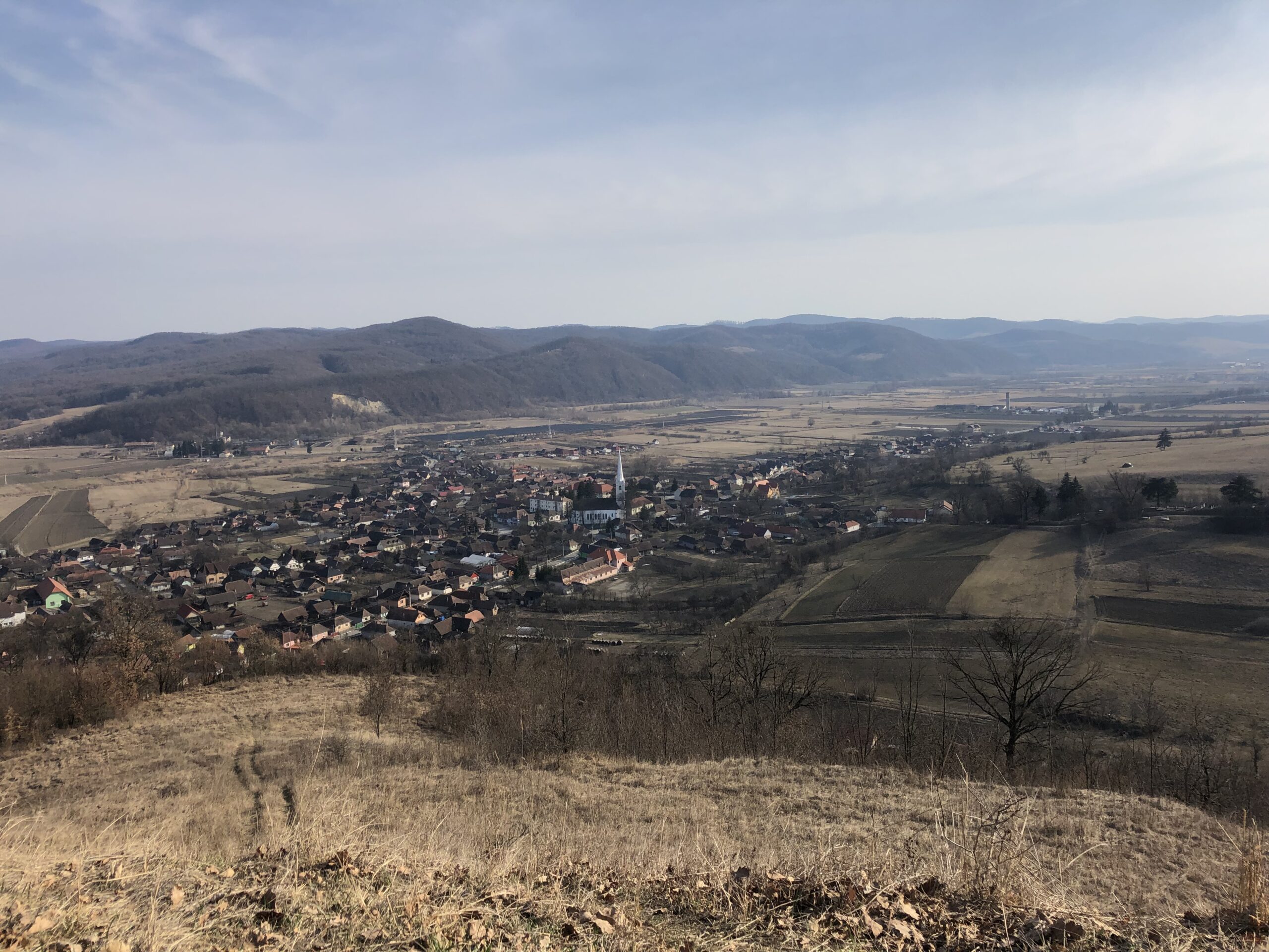 image00005